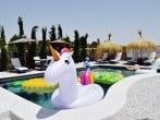 Pool toys Pool toys